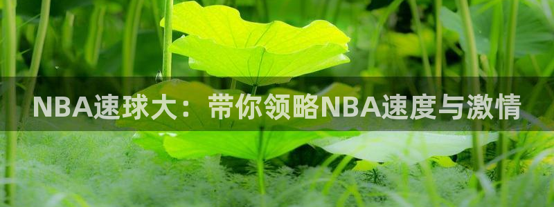 NBA速球大：带你领略NBA速度与激情