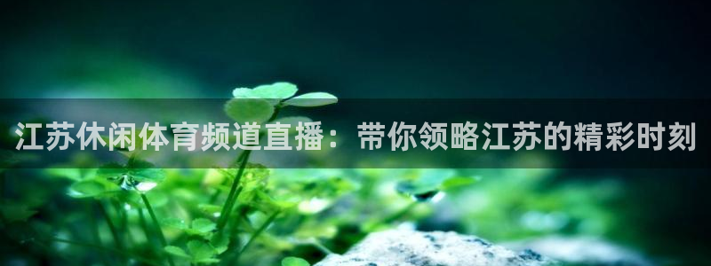 江苏休闲体育频道直播：带你领略江苏的精彩时刻