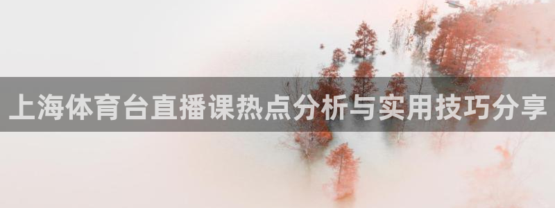 上海体育台直播课热点分析与实用技巧分享