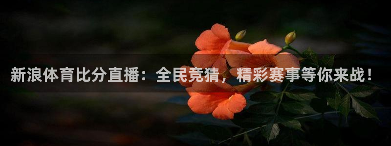 新浪体育比分直播：全民竞猜，精彩赛事等你来战！