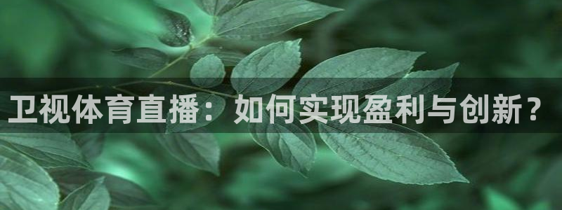 卫视体育直播：如何实现盈利与创新？