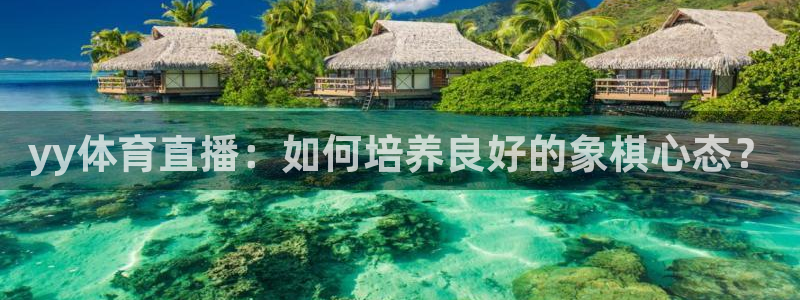 yy体育直播：如何培养良好的象棋心态？