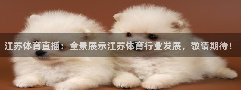 江苏体育直播：全景展示江苏体育行业发展，敬请期待！