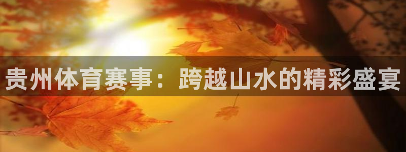 贵州体育赛事：跨越山水的精彩盛宴