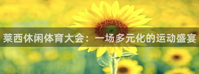 莱西休闲体育大会：一场多元化的运动盛宴