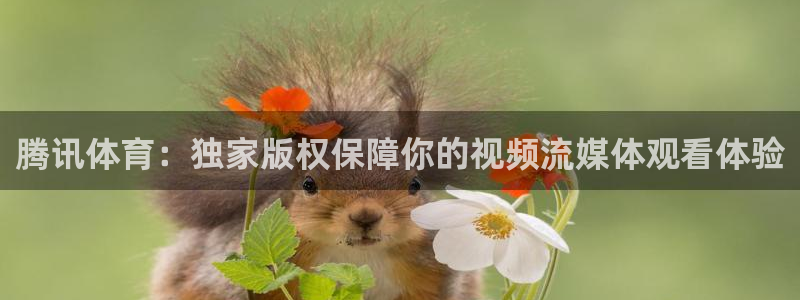 腾讯体育：独家版权保障你的视频流媒体观看体验