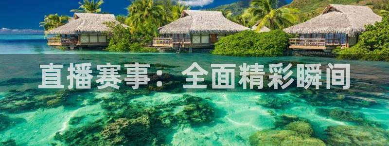 直播赛事：全面精彩瞬间