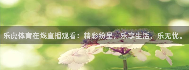 乐虎体育在线直播观看：精彩纷呈，乐享生活，乐无忧。