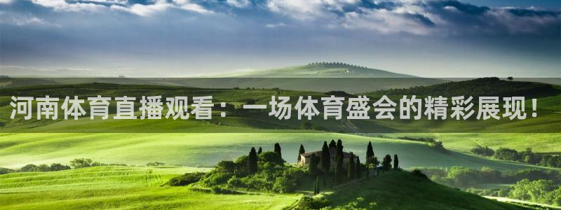 河南体育直播观看：一场体育盛会的精彩展现！
