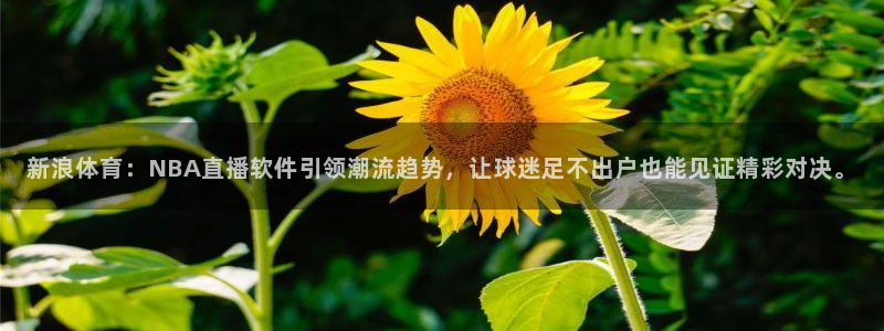 新浪体育：NBA直播软件引领潮流趋势，让球迷足不出户也能见证精彩对决。